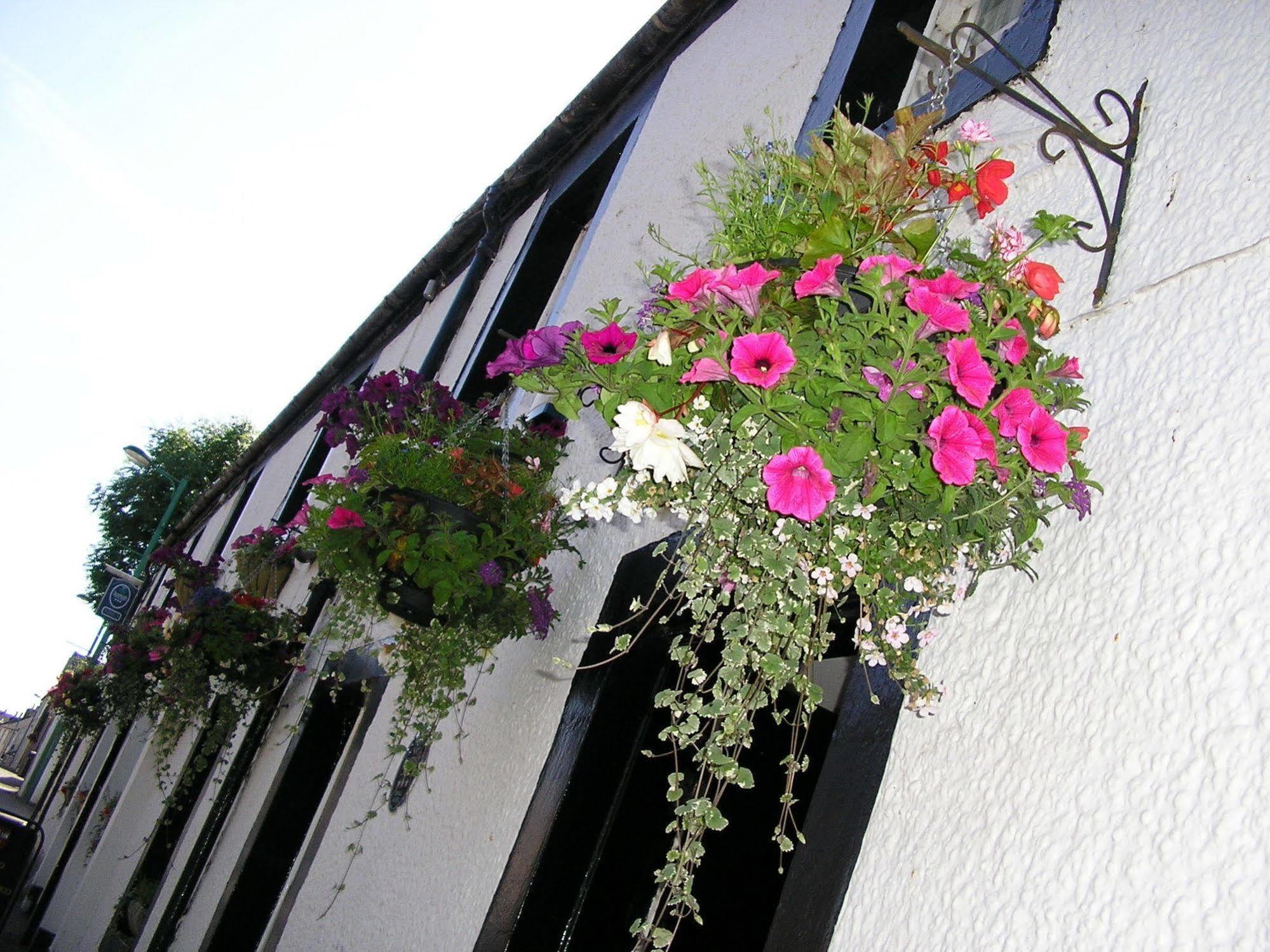 The Robertson Arms Hotel Carnwath エクステリア 写真